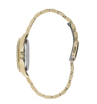 Polo Stainless Steel Ladies Watch BP3193C.110 Gold - image 2