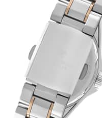 Polo Stainless Steel Ladies Watch BP3193C.530 Silver - image 3
