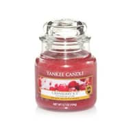 Yankee Candle Cranberry Ice