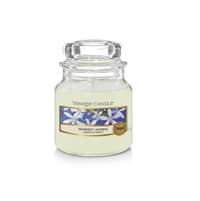 Yankee Candle Midnight Jasmine | Small