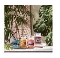 Yankee Candle Tropical StartFruit - image 3