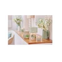Yankee Candle Linden Tree - image 3