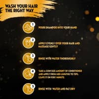 Sunsilk Shampoo Blackshine 380ml - image 4