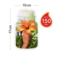Yankee Candle Last Paradise | Large - image 2