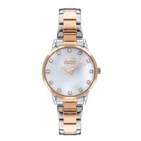 Slazenger Ladies Stainless Steel Watch SL.09.2071.3.06 Silver