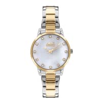 Slazenger Ladies Stainless Steel Watch SL.09.2071.3.07 Silver