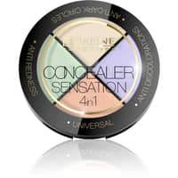 Eveline 4 IN 1 Concealer Sensation