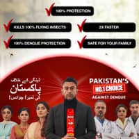 Mortein Crawling Insect Killer Spray Kills 100% Crawling Insects 375ml - image 6