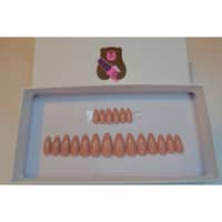 Nail Bear Basic Nude Nails - image 2