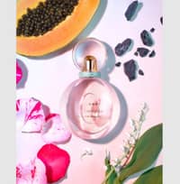 Bvlgari Rose Goldea Blossom Delight EDP 75ml - image 2