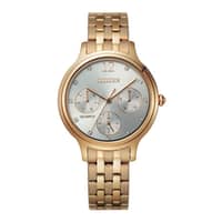 Citizen Stainless Steel Ladies Watch ED8183-54A Silver