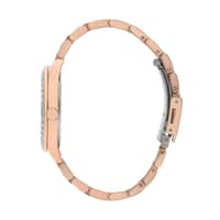 Polo Stainless Steel Ladies Watch BP3291C.420 Silver - image 2