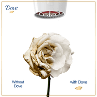 Dove Intense Repair Conditioner 180ml - image 6