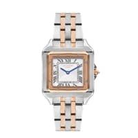 Lee Cooper Ladies Super Metal Watch LC07866.530 Silver