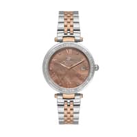 Polo Ladies Watch BP3583X.520 BROWN