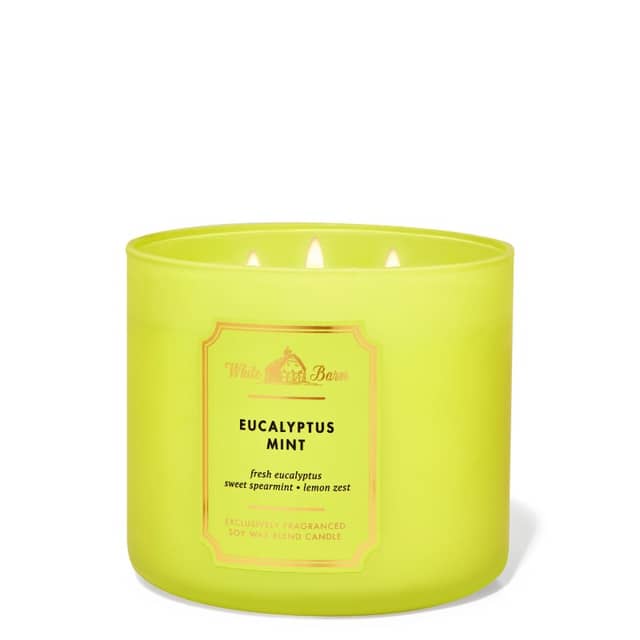 Bath And Body Works Eucalyptus Mint 3-Wick Candle