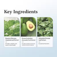 Dr Althea 147 Barrier Cream 50ml - image 5