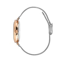 Polo Stainless Steel Ladies Watch BP3190X.590 Silver - image 2