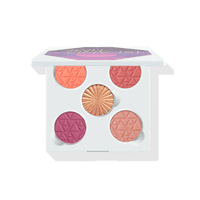 Ofra Island Time Face Palette - image 2