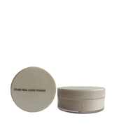 Etude Real Loose Powder 5g - 1