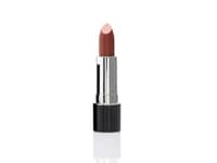 Pierre Cardin Paris Porcelain Matte Edition Lipstick - Aurora 208