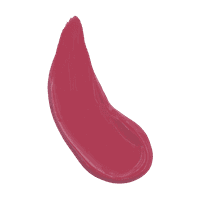 Vida New York Matte Dip Liquid Lipstick - Danc 'N' Flamingo 256