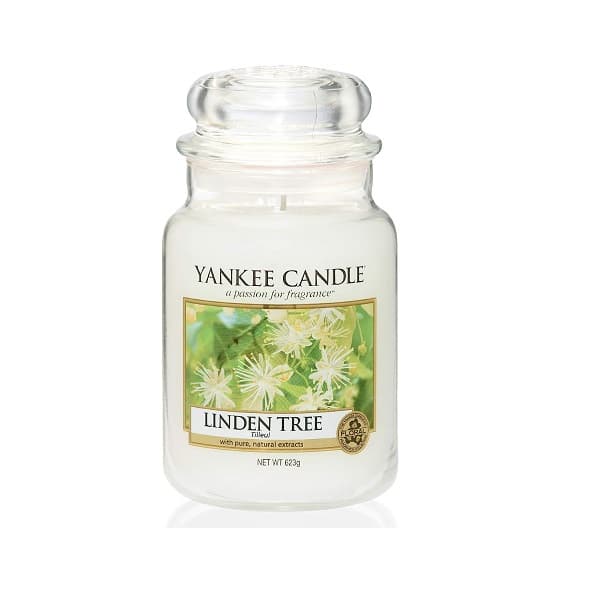 Yankee Candle Linden Tree | Large
