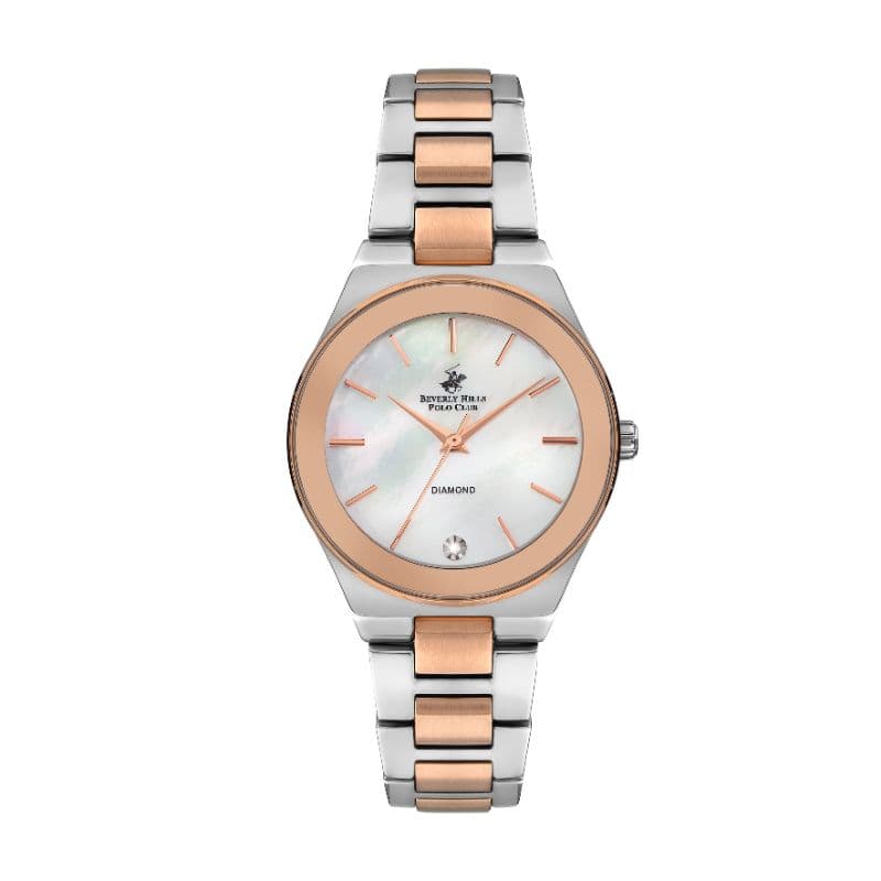 Polo Stainless Steel Ladies Watch BP3229X.520 Silver