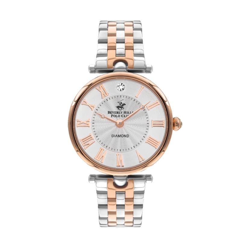 Polo Stainless Steel Ladies Watch BP3335X.530 Silver