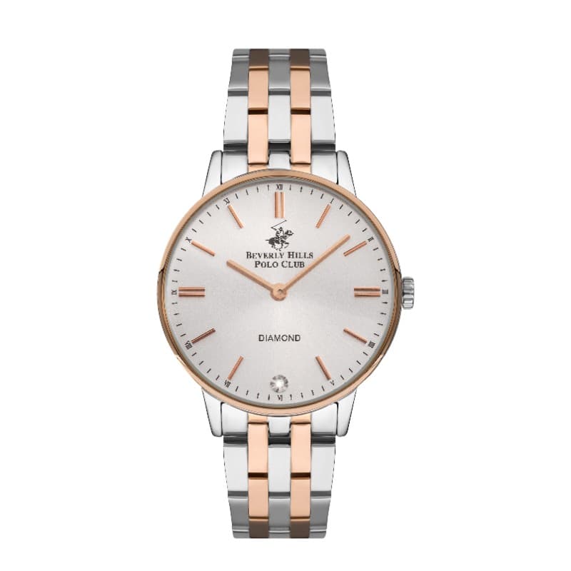 Polo Stainless Steel Ladies Watch BP3289X.530 Silver