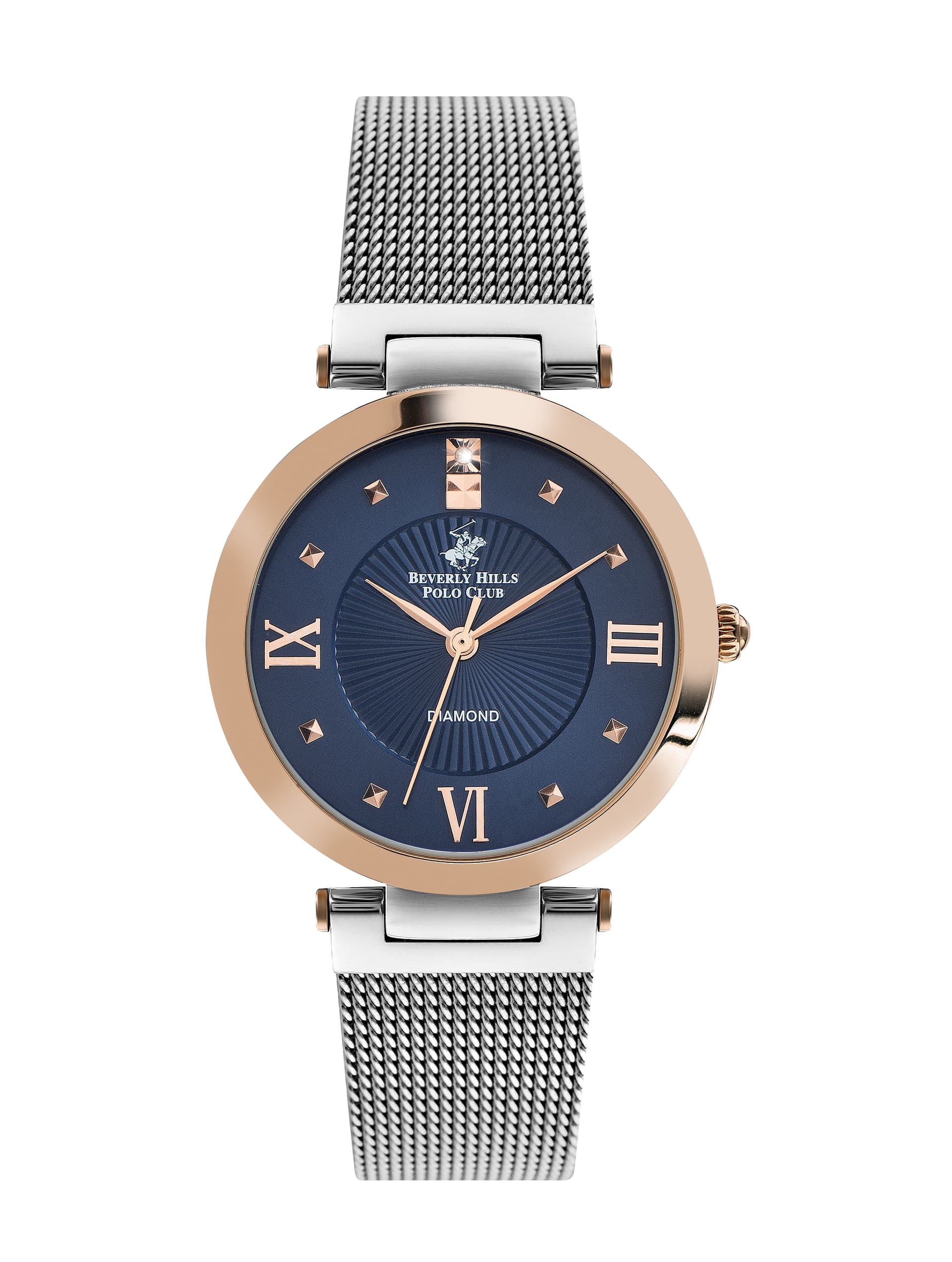 Polo Stainless Steel Ladies Watch BP3190X.590 Silver