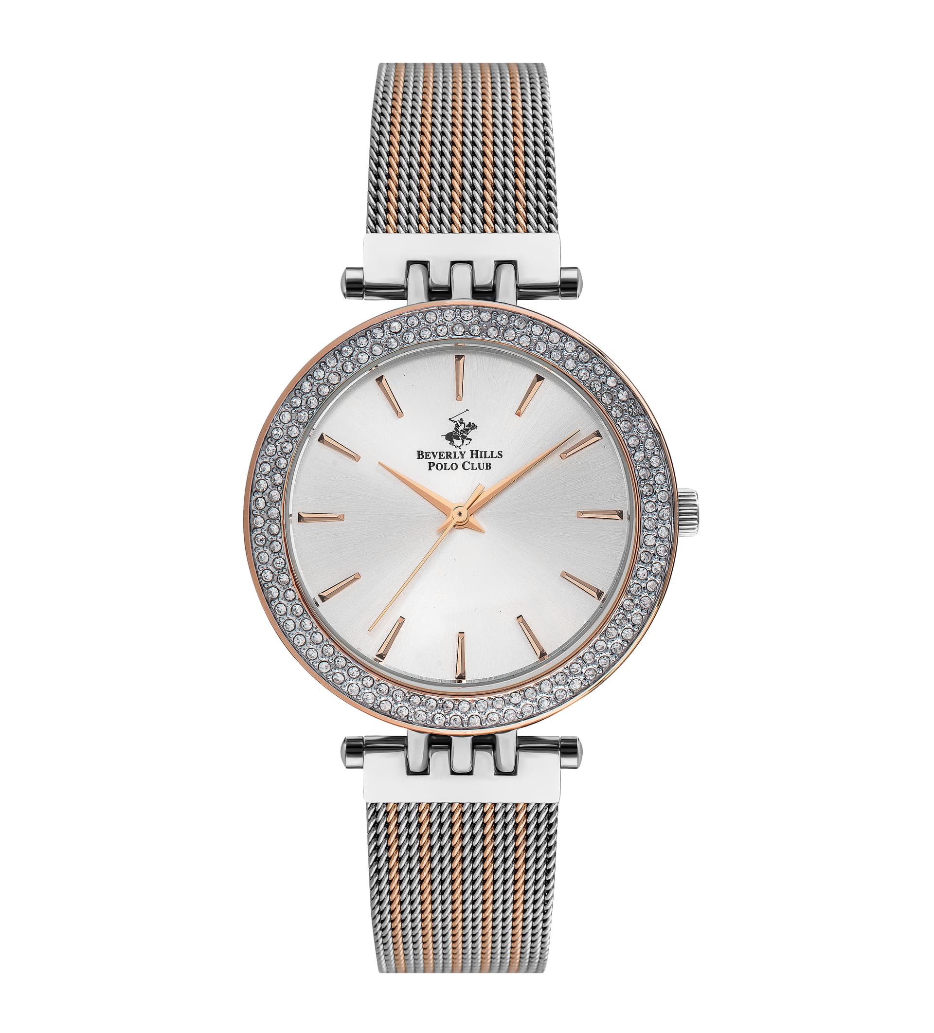 Polo Stainless Steel Ladies Watch BP3203C.530 Silver