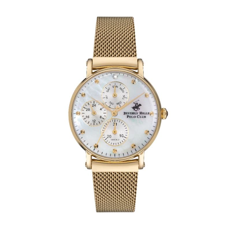 Polo Stainless Steel Ladies Watch BP3252X.120 Silver