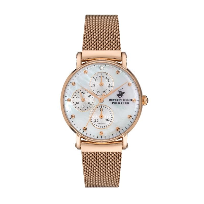 Polo Stainless Steel Ladies Watch BP3252X.420 Silver