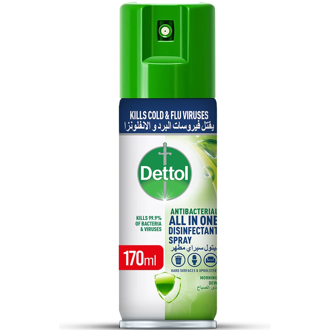 Dettol Antibacterial All in One Spray 170ml