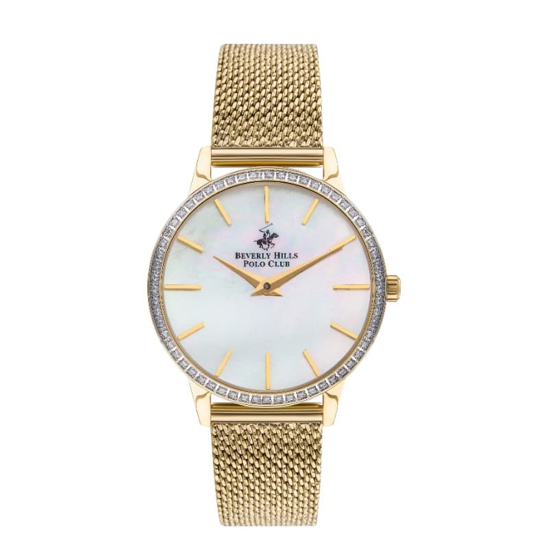 Polo Stainless Steel Ladies Watch BP3298C.120 Silver