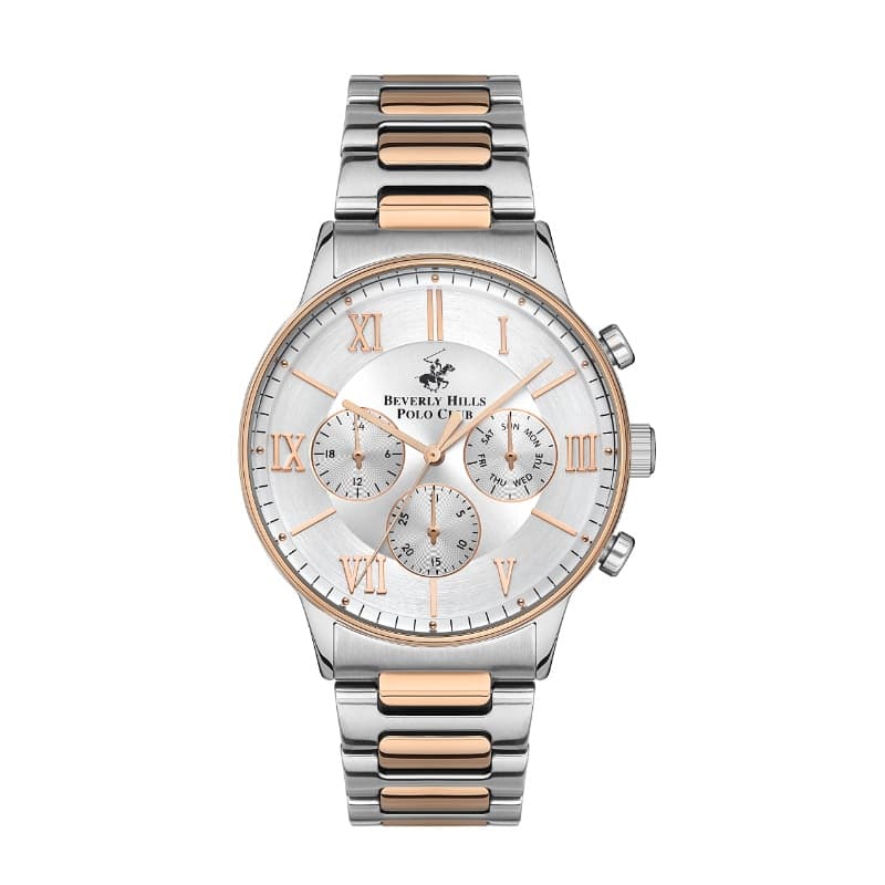 Polo Stainless Steel Gents Watch BP3314X.530 Silver