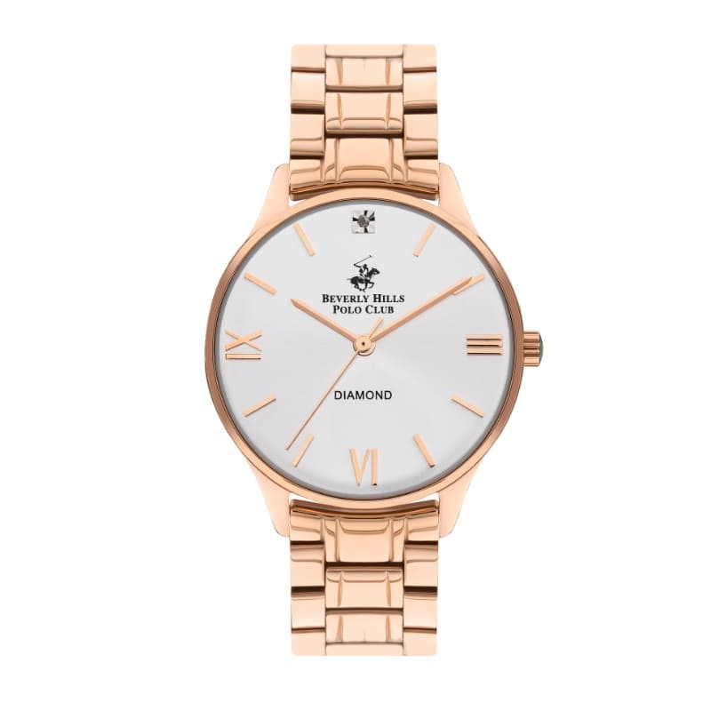 Polo Stainless Steel Ladies Watch BP3348X.430 Silver