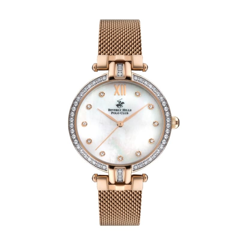 Polo Stainless Steel Gents Watch BP3257C.420 Silver