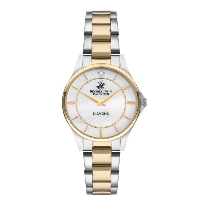 Polo Stainless Steel Ladies Watch BP3241X.220 Silver