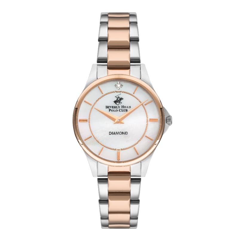 Polo Stainless Steel Ladies Watch BP3241X.520 Silver