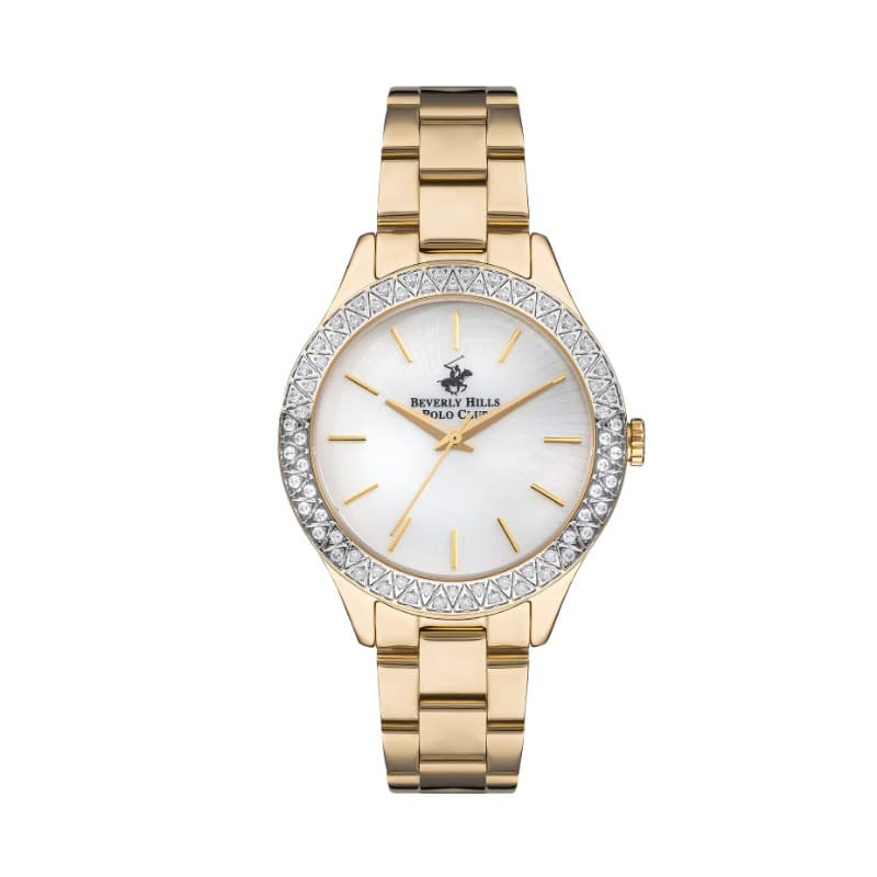Polo Stainless Steel Ladies Watch BP3291C.120 Silver