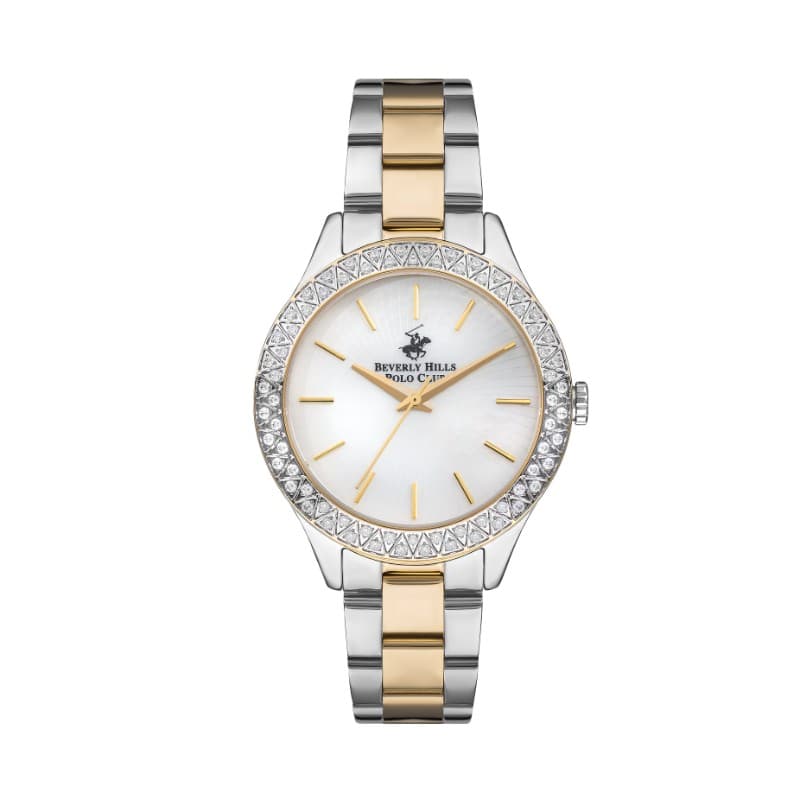 Polo Stainless Steel Ladies Watch BP3291C.220 Silver