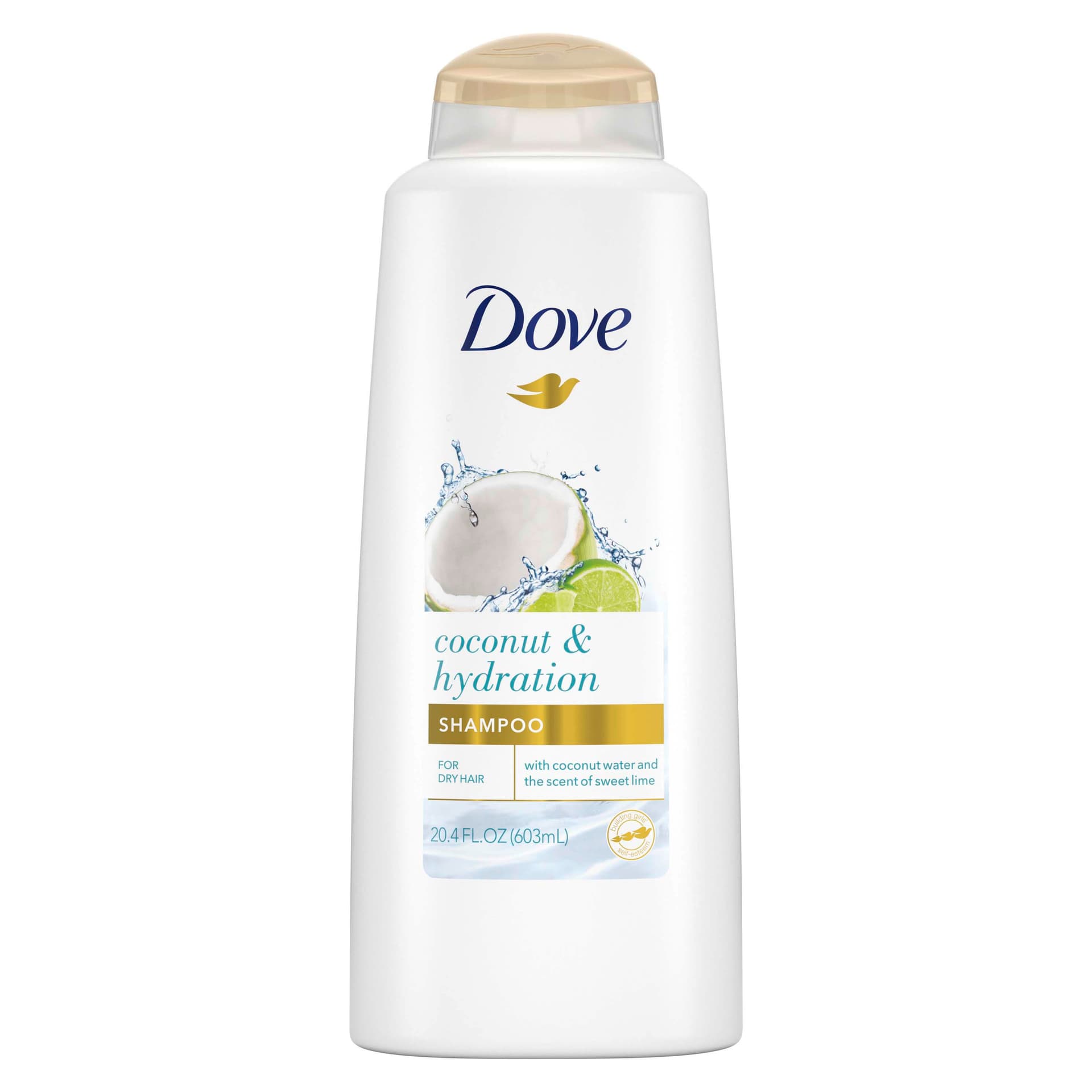 Dove Coconut & Hydration Shampoo 603ml