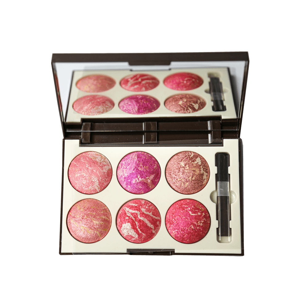 Sweet Face 6 Colour Terecota Blushon Kit
